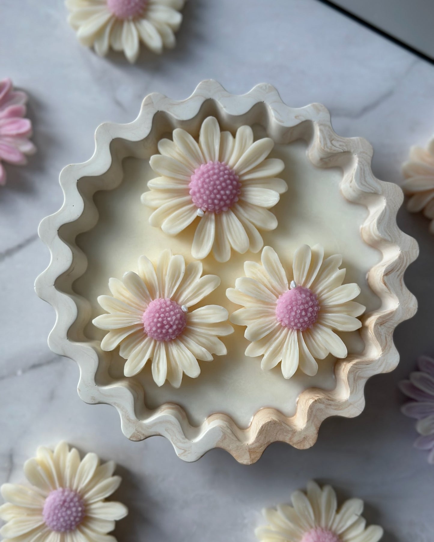 Naczynie ze stokrotką